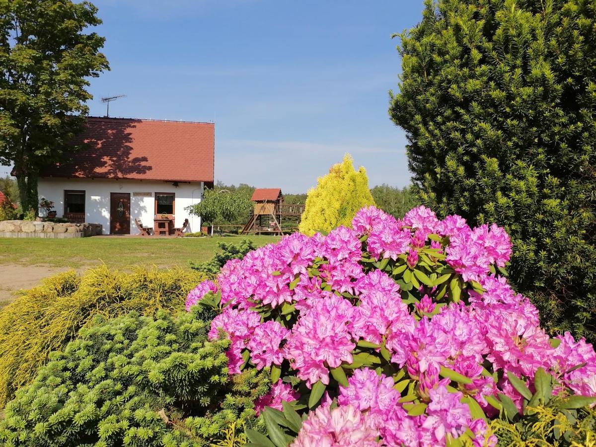 Domek Czerwony Kapturek Villa Plocice Kültér fotó